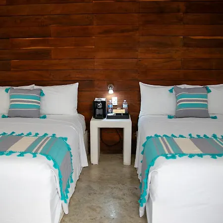 Hotel Villa Balu-2